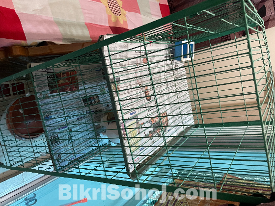 খাচা বিক্রি করা হবে । khacha bikri kora hobe.